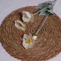 غصن ورد خشخاش ابيض