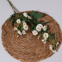 غصن بزهور ابيض