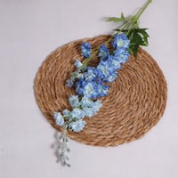 الدلفينيوم ازرق شبه الطبيعي