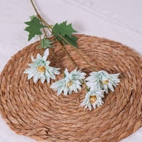 غصن زهر ازرق