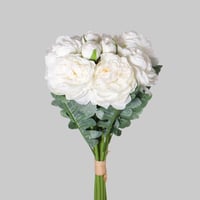 بنش بيوني ابيض