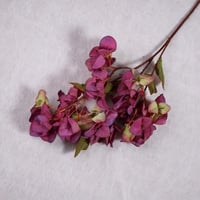 غصن ازاليا موف