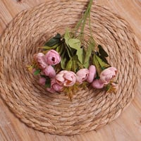 ورد بيوني ميني وردي