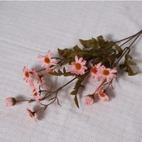 غصن زهور الاقحوان وردي