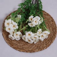 زهور الجلاديواس ابيض