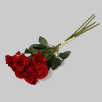 بيبي روز احمر