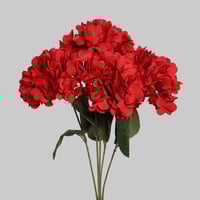 ورد الهيدرنجا احمر