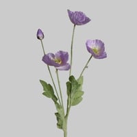 غصن ورد خشخاش لافندر