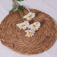 غصن زهر ابيض