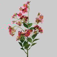 غصن زهور فوشي