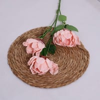 غصن الفاوانيا وردي