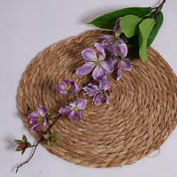 اليستروميريا موف غامق