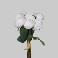 ربطة بيوني ابيض