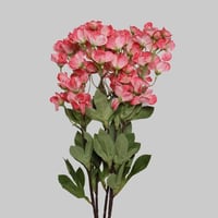 زهور الكرز وردي غامق