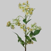 غصن زهور اخضر