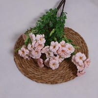 بنش الجلاديواس وردي فاتح