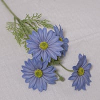 غصن ديزي ازرق