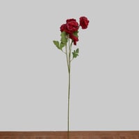 غصن الفاوانيا وردي فاتح