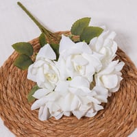 جوري مفتوح ابيض