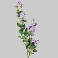 غصن بزهور بنفسجي