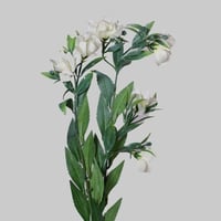 غصن زهور ابيض