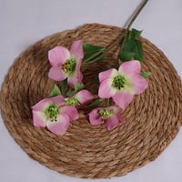 غصن بزهور وردي