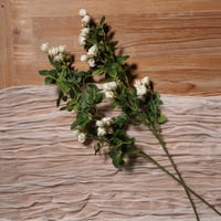 فازة بزهور البيبي روز