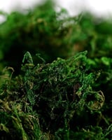 عشب مجفف كيس كبير 600g