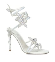 هيلز رينيا كوڤيل