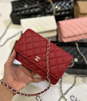 شانيل هاي كوالبتي