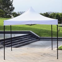 3*3 (WHITE iron tube tent (full enclosure) (TYPE C...