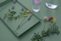 صينية ألتو 36×23 لون الصبار