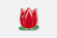 إي إم إس، جوارب، للبالغين، زهرة التوليب المتفتحة