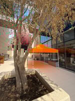 3*6 (ORANGE (aluminum hexagonal tube tent (ordinar...