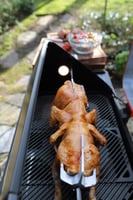 السيخ الدوّار لشواية فرنيس