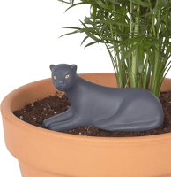 DOIY، الري الذاتي، الغابة، النمر