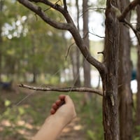 طقم المستكشف