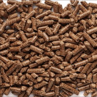 Traeger Mesquite Bbq Wood Pellets 20Lb Bag