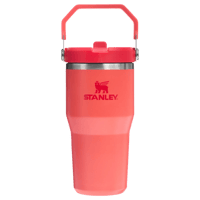 ستانلي آيس فلو جو 590 مل / 20 أونصة – زجاجة ماء بغ...