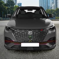 تعليقة شبك سيارة مميز - سيفين ونخلة