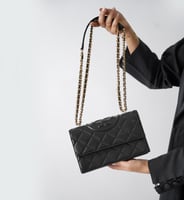 شنطة توري بورش