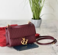 شنطة كارولينا هريرا