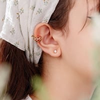 حلق أذن كبس