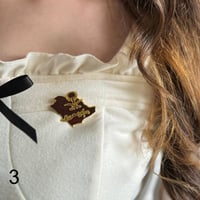 بروش يوم التاسيس