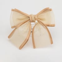 فيونكة شعر أنيقة