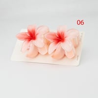 مشبك شعر حجم كبير