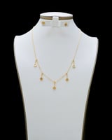 طقم شوكر بطابع الوردة