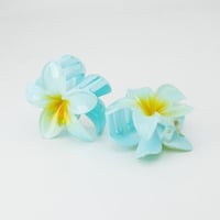 مشبك شعر حجم كبير