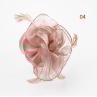 طوق شعر فرنسي