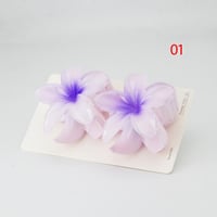 مشبك شعر حجم كبير